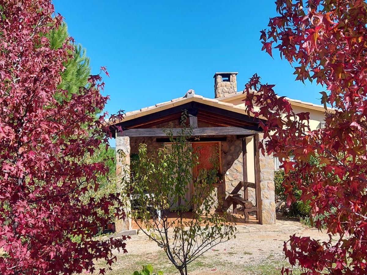 Casa Rural Amarilla Ávila Екстериор снимка