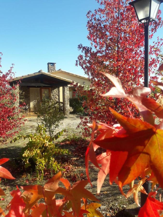 Casa Rural Amarilla Ávila Екстериор снимка